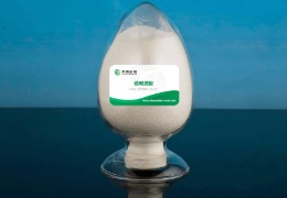 什么是透明質(zhì)酸？