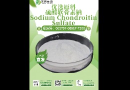軟骨救星，硫酸軟骨素鈉讓你告別關(guān)節(jié)疼痛！