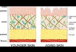 正確選擇精華素，讓你的肌膚更緊致、更年輕