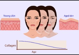 膠原蛋白只認(rèn)A型